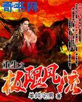 重生之極限風流小說封面