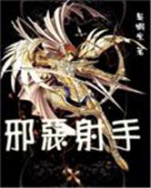 聖鬥士之邪惡射手小說封面