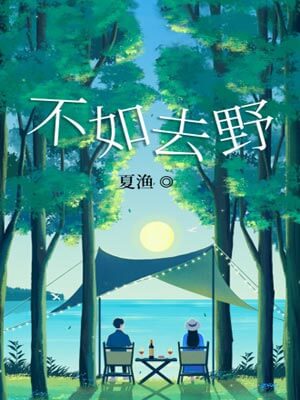 不如去野小說封面