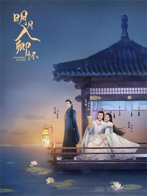 師叔你這樣很容易失去我（明月入卿懷）小說封面