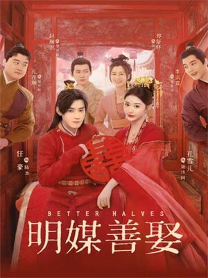 明媒善娶小說封面