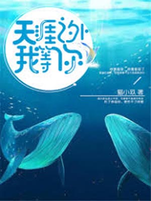 天涯之外我等你小說封面