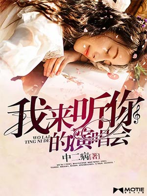 我來聽你的演唱會小說封面