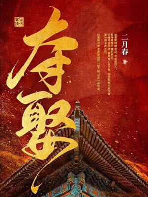 奪娶小說封面