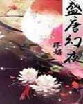 盛唐幻夜小說封面