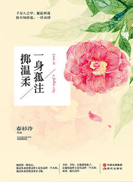 一身孤注擲溫柔小說封面