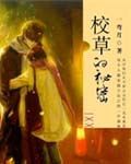 校草的秘密小說封面