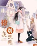 撩了我別想跑小說封面