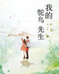我的鴕鳥先生小說封面
