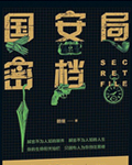 國安局密檔小說封面
