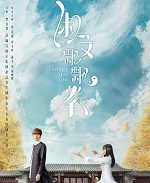 淑女飄飄拳小說封面