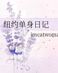 紐約單身日記小說封面