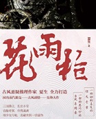花雨槍小說封面