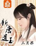 新唐遺玉小說封面