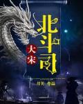 大宋北斗司小說封面