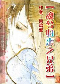 魂兮歸來之兄弟小說封面