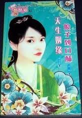 娘子到口酥小說封面
