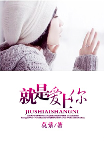就是愛上你小說封面