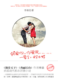 我愛你,你愛我,一輩子,好不好小說封面