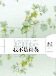 我不是精英小說封面