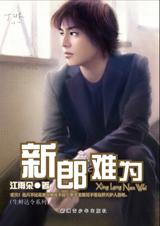 新郎難為小說封面