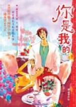 你是我的小說封面