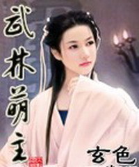 武林萌主小說封面