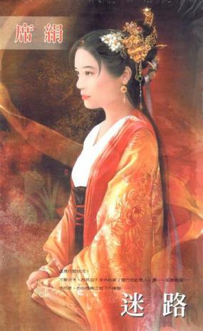迷路小說封面