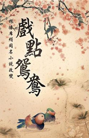 戲點鴛鴦小說封面