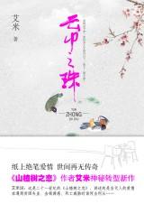 雲中之珠小說封面