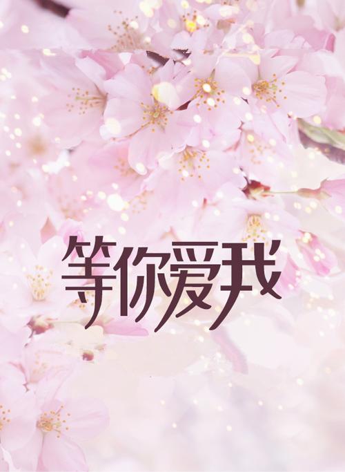 一路逆風小說封面