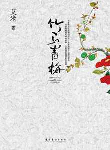 竹馬青梅小說封面
