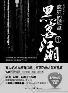 瘋狂的硬碟小說封面
