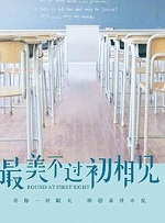 最美不過初相見小說封面
