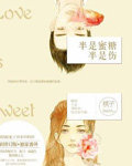 半是蜜糖半是傷小說封面