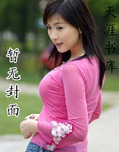 金戈鐵馬入夢來小說封面