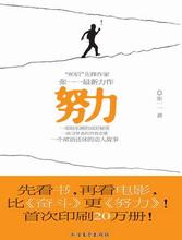 努力小說封面