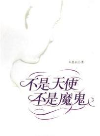 不是天使，不是魔鬼小說封面