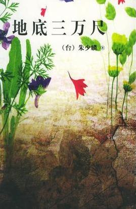 地底三萬尺小說封面