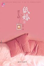 紙婚2·求子記小說封面