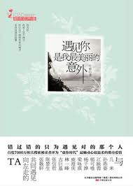 遇見你是我最美麗的意外小說封面