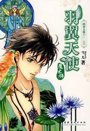 羽翼天使·魔術師小說封面