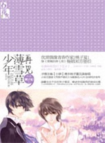 再見，薄雪草少年小說封面