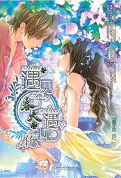 遇見春天遇見你小說封面