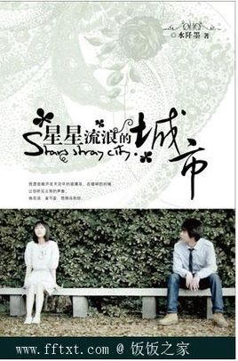 星星流浪的城市小說封面