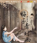 梅子青時雨小說封面
