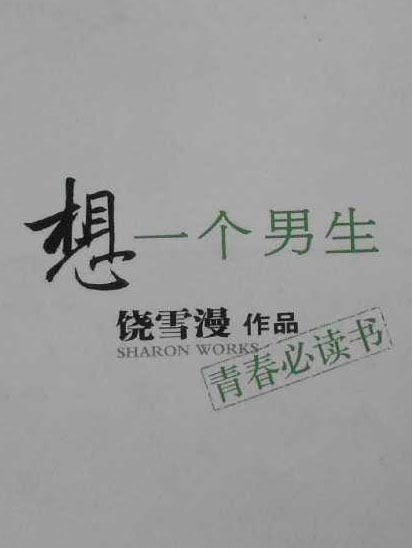 想一個男生小說封面
