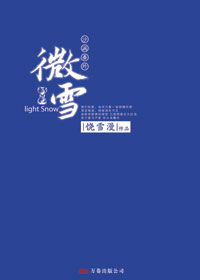 微雪小說封面