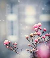 快樂的天空小說封面