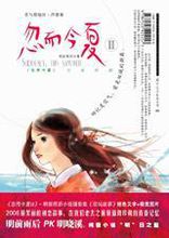 忽而今夏2小說封面